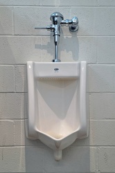 Zurn urinal at The Fields at RFK Campus