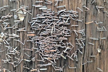 Staples in a utility pole