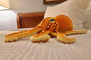 Woomy sits on a bed at Hotel 24 South [01]