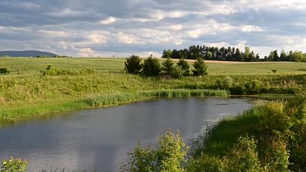 Retention pond at Waynesboro Town Center [04]