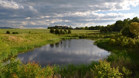 Retention pond at Waynesboro Town Center [05]