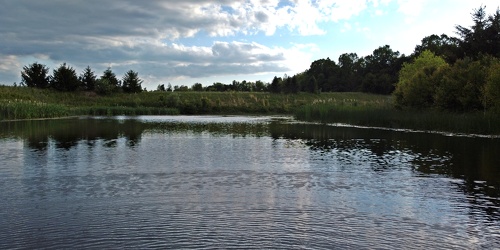 Retention pond at Waynesboro Town Center [03]