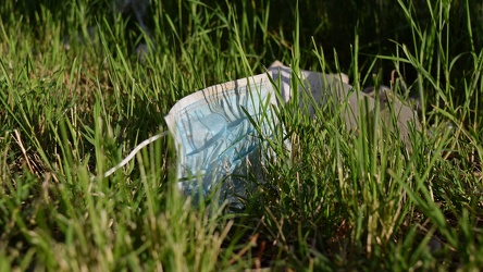 Face mask discarded in the grass