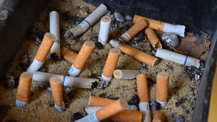 Cigarette butts in an ashtray