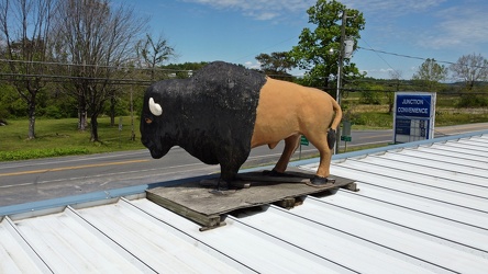 Buffalo statue at Junction Convenience