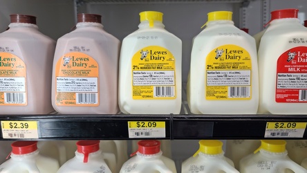 Quart-sized milk jugs at Goose Creek