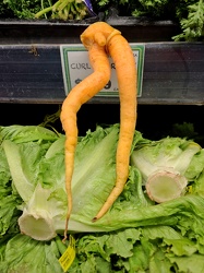 Carrot with multiple appendages