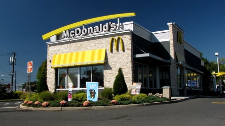 McDonald's in Magnolia, New Jersey [01]