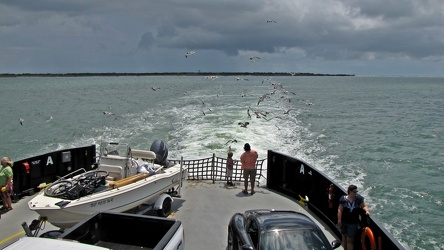 Family feeding sea gulls [03]