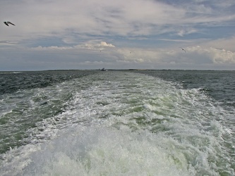 Wake of M/V W. Stanford White [03]