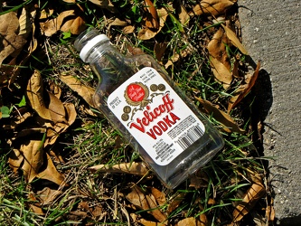 Discarded vodka bottle