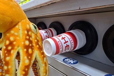 Woomy looks at styrofoam cups at Sheetz