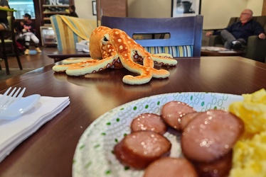 Woomy joins me for breakfast [01]