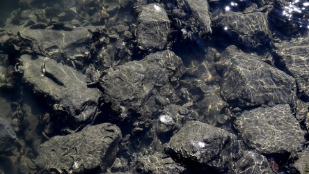 Rocks in the Hampton River [01]