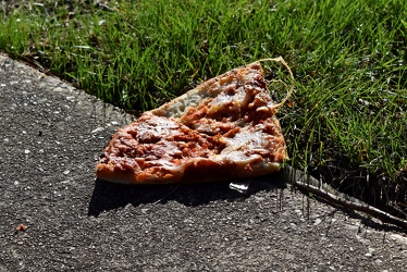 Discarded slice of pizza [01]