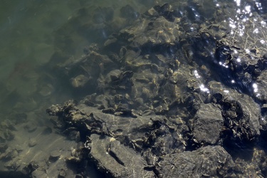 Rocks in the Hampton River [02]