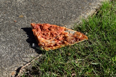 Discarded slice of pizza [02]