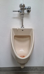 Urinal at Battlefield Harley-Davidson