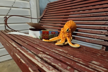 Woomy sits on a porch swing