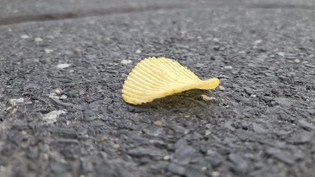 Potato chip on the pavement