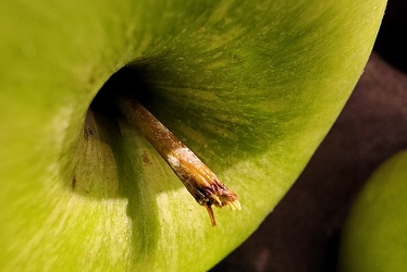 Granny Smith apple at Giant Food [02]