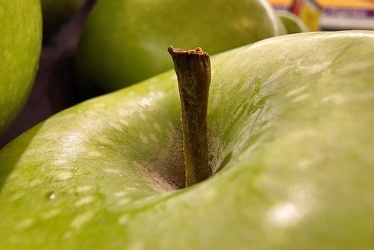 Granny Smith apple at Giant Food [01]