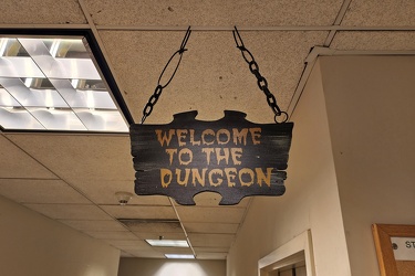 "Welcome to the Dungeon"