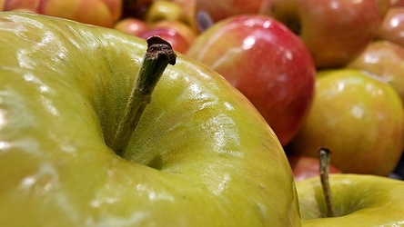 Pink Lady apples at Food Lion [01]