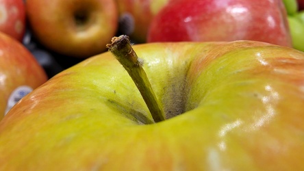 Pink Lady apples at Food Lion [02]