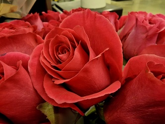 Roses at Safeway [01]