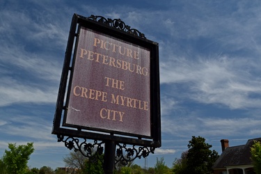 "Picture Petersburg: The Crepe Myrtle City"