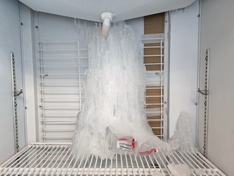 Ice buildup in a freezer [01]