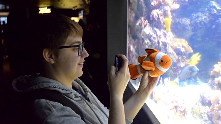 Elyse photographs David at the National Aquarium