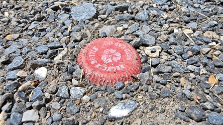 Bottle cap embedded in gravel [02]