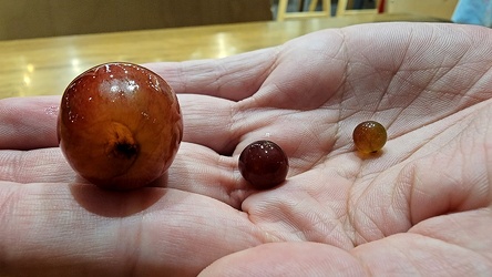 Differently-sized grapes