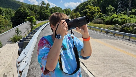 Elyse photographs a streetlight [01]