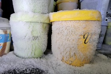 Frosted over containers of Van Leeuwen ice cream [01]