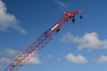 Crane at Delaware Seashore State Park [01]