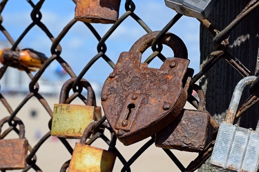 Love locks in Ocean City [10]