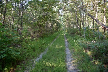 Trail to Mills Creek Reservoir