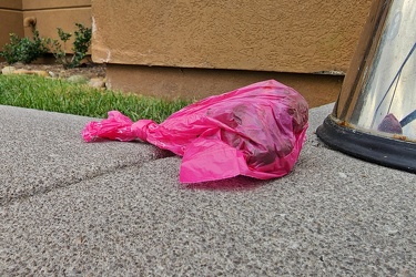 Bag of dog poop next to a trash can