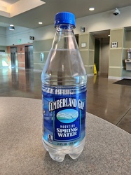 Bottle of Cumberland Gap Mountain Spring Water