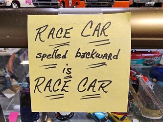 "RACE CAR spelled backward is RACE CAR"