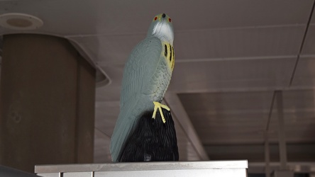 Falcon decoy at Reston Town Center station [01]