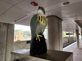 Falcon decoy at Reston Town Center station [02]