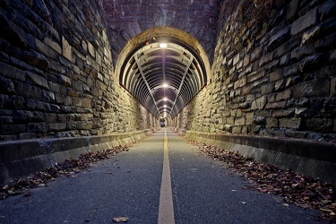 Wilkes Street Tunnel [02]