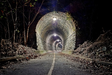 Wilkes Street Tunnel [04]