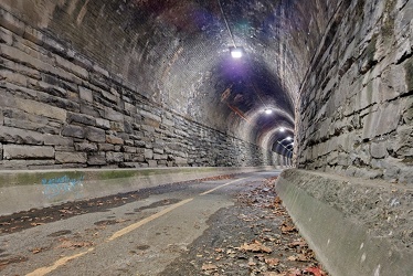 Wilkes Street Tunnel [06]