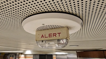 Ceiling-mounted speaker/strobe with "ALERT" lettering