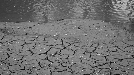 Mud at the bottom of the canal [02]